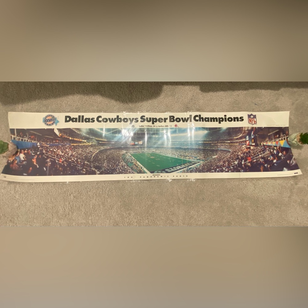 NFL Dallas Cowboys Super Bowl Champions Wall Decor - Blue and White.  1994
